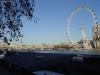 DSC01809.JPG